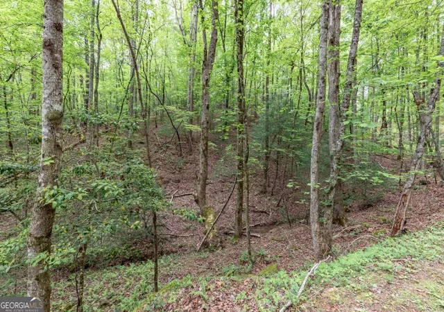 Photo 4 of Land for sale at Lot 17 Lower Gap Rd #17, Sautee Nacoochee, GA 30571 | MLS# 10512823 | Listing updated on 2026-05-25