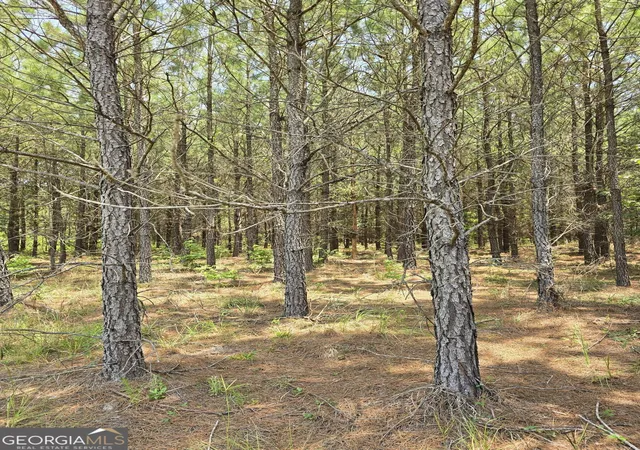 Homes for sale in Waynesboro, GA | Tbd Ga Hwy 56 N, Waynesboro, GA 30830 | MLS# 10801927