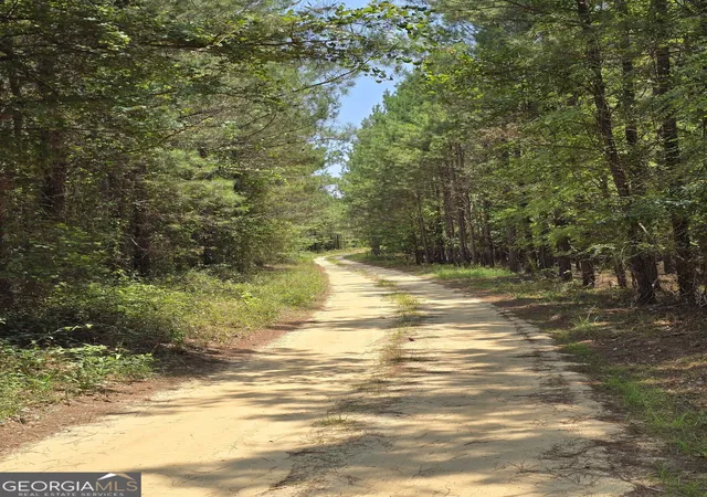 Homes for sale in Waynesboro, GA | Tbd Ga Hwy 56 N, Waynesboro, GA 30830 | MLS# 10801927