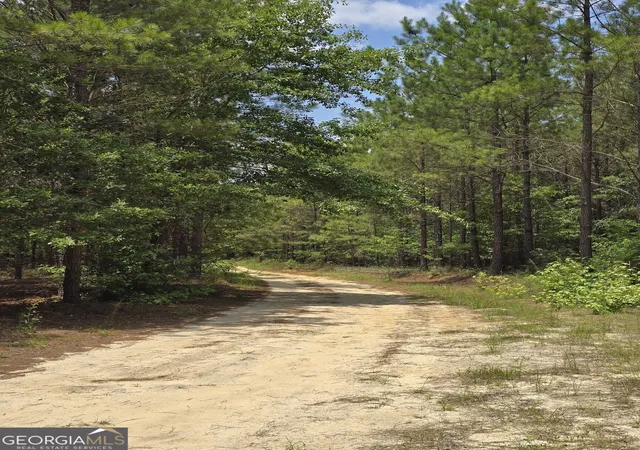 Homes for sale in Waynesboro, GA | Tbd Ga Hwy 56 N, Waynesboro, GA 30830 | MLS# 10801927