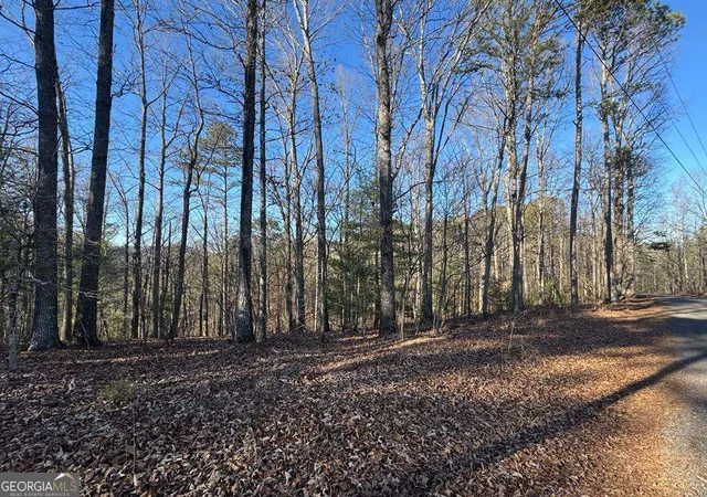 Photo 1 of Land for sale at 0 Rebekah Ridge #LOT 1710, Talking Rock, GA 30175 | MLS# 10721584 | Listing updated on 2026-09-29