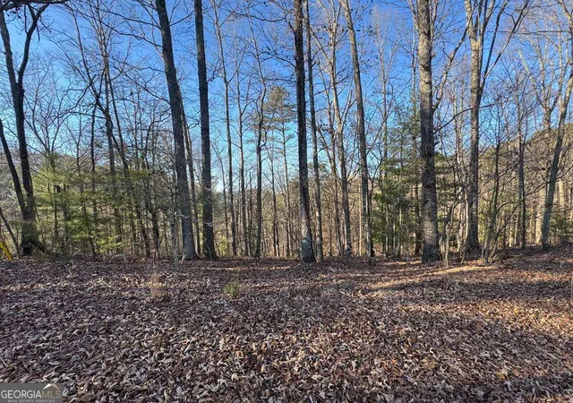 Photo 2 of Land for sale at 0 Rebekah Ridge #LOT 1710, Talking Rock, GA 30175 | MLS# 10721584 | Listing updated on 2026-09-29