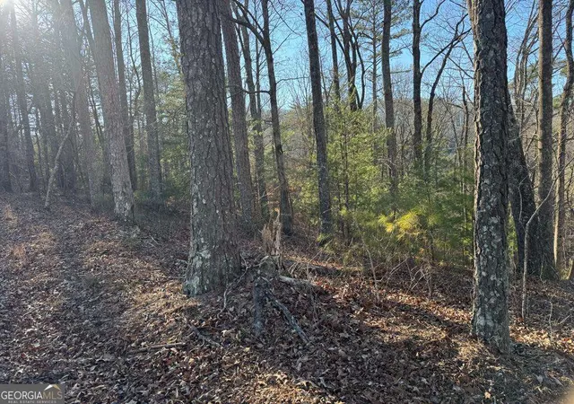 Photo 3 of Land for sale at 0 Rebekah Ridge #LOT 1710, Talking Rock, GA 30175 | MLS# 10721584 | Listing updated on 2026-09-29