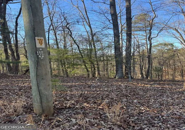 Photo 4 of Land for sale at 0 Rebekah Ridge #LOT 1710, Talking Rock, GA 30175 | MLS# 10721584 | Listing updated on 2026-09-29