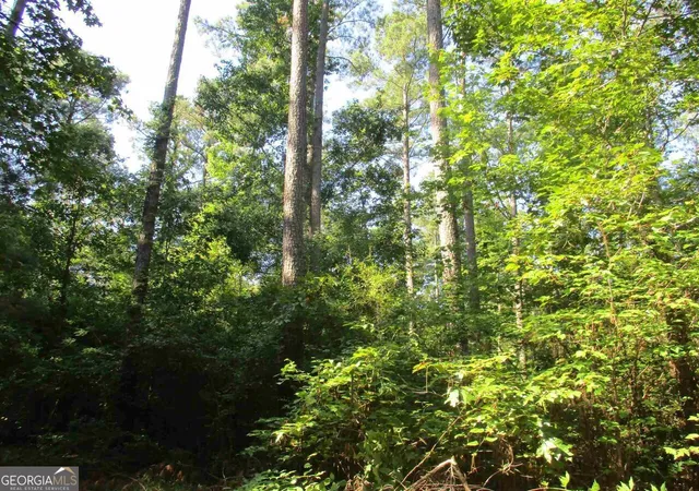 2nd image of 0 Holman Rd, Monticello, GA 31064 | MLS# 10644089