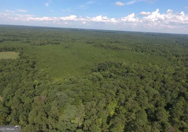 3rd image of 0 Holman Rd, Monticello, GA 31064 | MLS# 10644089