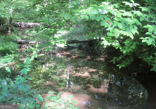4th image of 0 Holman Rd, Monticello, GA 31064 | MLS# 10644089