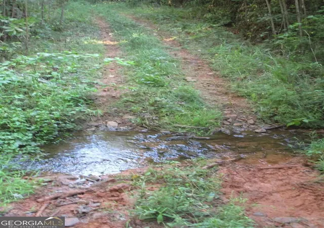 5th image of 0 Holman Rd, Monticello, GA 31064 | MLS# 10644089