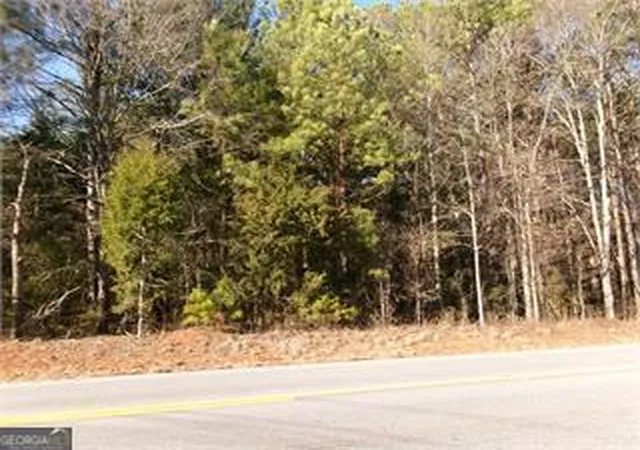 1st image of 0 Hwy 278, Covington, GA 30014 | MLS# 10830843