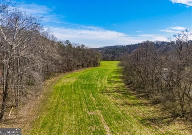 2nd image of 0 Hubbardsville Circle #A, Dawsonville, GA 30534 | MLS# 10803234