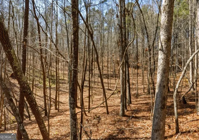 3rd image of 0 Hubbardsville Circle #A, Dawsonville, GA 30534 | MLS# 10803234