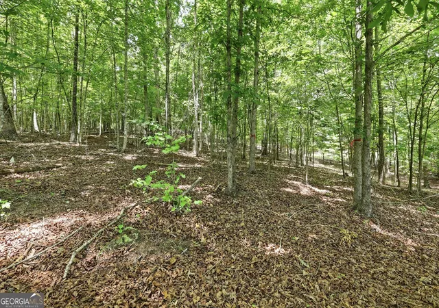 2nd image of 172 Laceola North Rd, Cleveland, GA 30528 | MLS# 10784899
