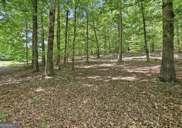 3rd image of 172 Laceola North Rd, Cleveland, GA 30528 | MLS# 10784899