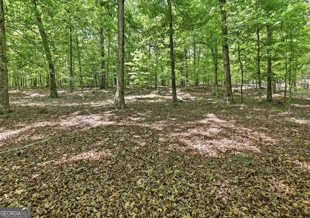 4th image of 172 Laceola North Rd, Cleveland, GA 30528 | MLS# 10784899