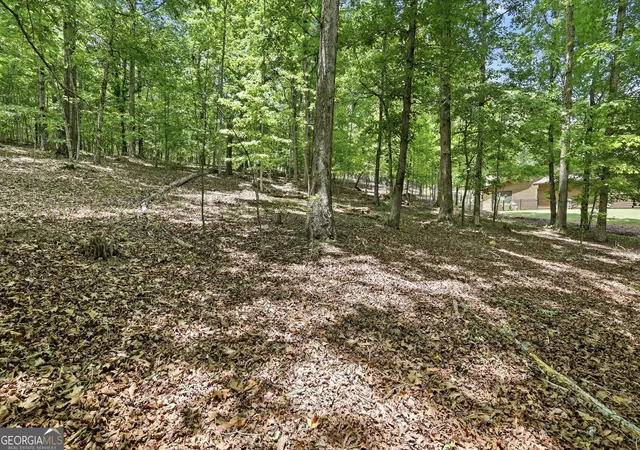 5th image of 172 Laceola North Rd, Cleveland, GA 30528 | MLS# 10784899