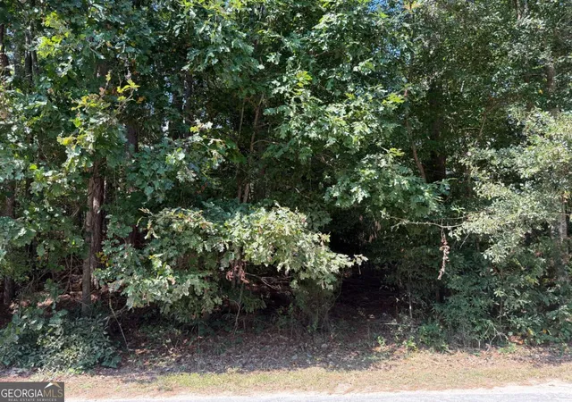 Photo 4 of Land for sale at 2392 Lakeshore Dr Ne, Conyers, GA 30012 | MLS# 10609294 | Listing updated on 2026-08-25