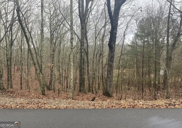 Photo 1 of Land for sale at 0 John Ingram Rd, Silver Creek, GA 30173 | MLS# 10692221 | Listing updated on 2026-09-16