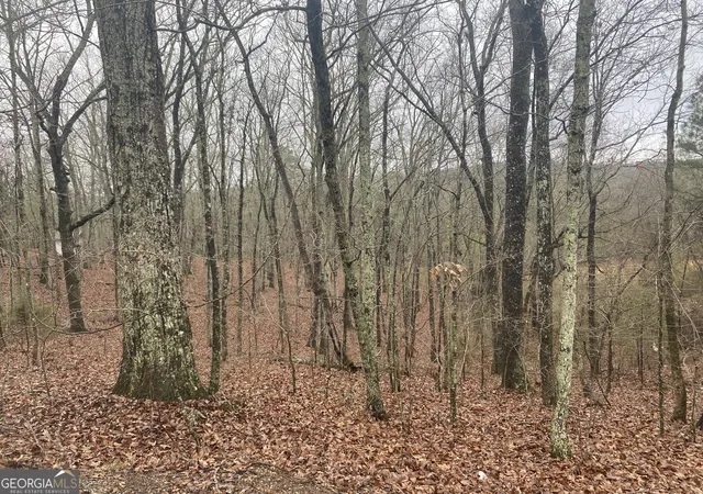 Photo 2 of Land for sale at 0 John Ingram Rd, Silver Creek, GA 30173 | MLS# 10692221 | Listing updated on 2026-09-16