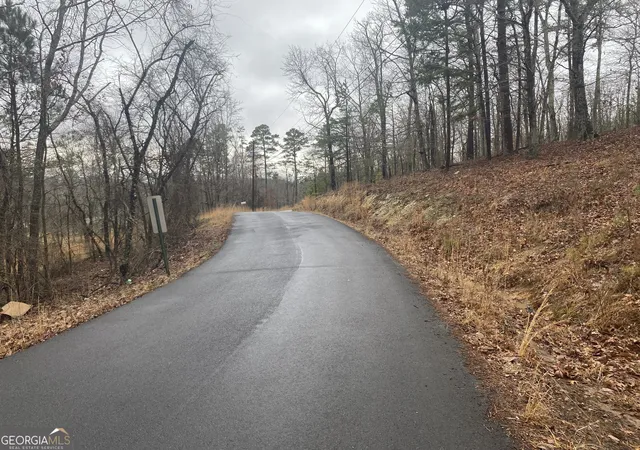 Photo 3 of Land for sale at 0 John Ingram Rd, Silver Creek, GA 30173 | MLS# 10692221 | Listing updated on 2026-09-16