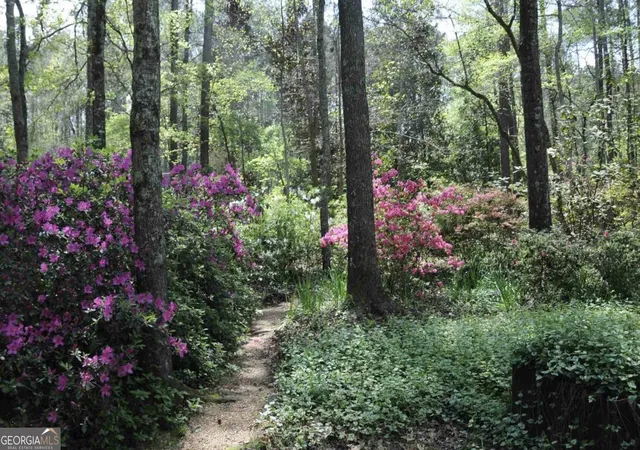 Photo 2 of Single family home for sale at 385 Vaughn Rd, Newnan, GA 30265 | MLS# 10795748 | Listing updated on 2026-08-21