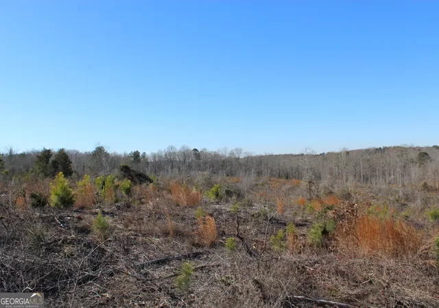 Homes for sale in Franklin, GA | 57+/- Ac Victory Rd, Franklin, GA 30217 | MLS# 10771718