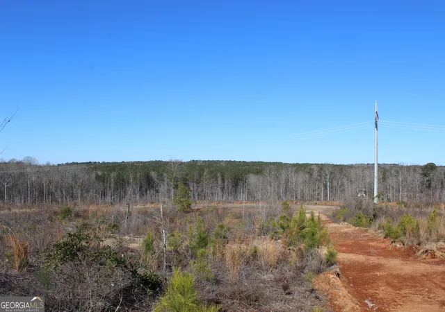 Homes for sale in Franklin, GA | 57+/- Ac Victory Rd, Franklin, GA 30217 | MLS# 10771718