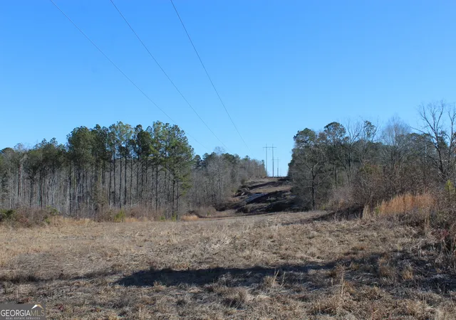 Homes for sale in Franklin, GA | 57+/- Ac Victory Rd, Franklin, GA 30217 | MLS# 10771718