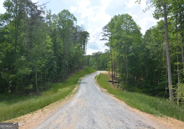 13th image of Lot 2 Murphy Hwy (spur 60), Mineral Bluff, GA 30559 | MLS# 10799502