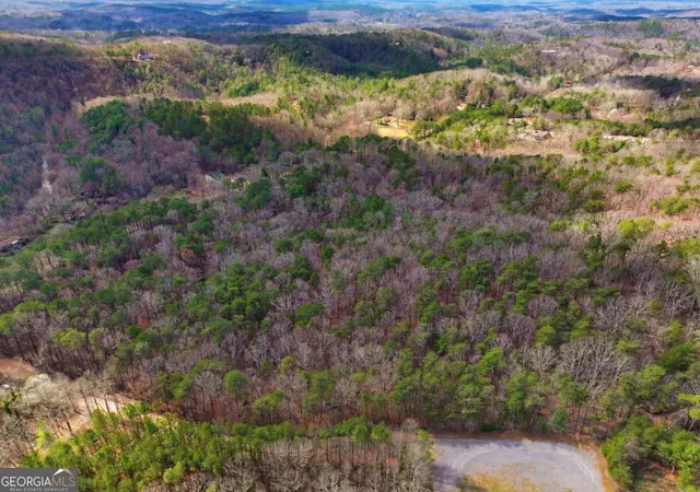 10th image of 64 Bull Gap Rd, Talking Rock, GA 30175 | MLS# 10711452