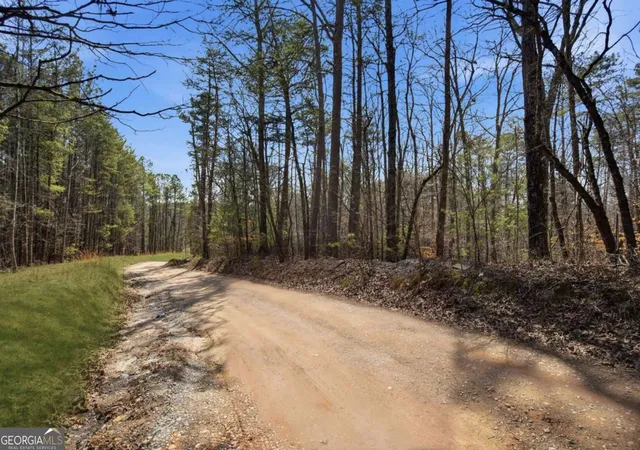 2nd image of 64 Bull Gap Rd, Talking Rock, GA 30175 | MLS# 10711452
