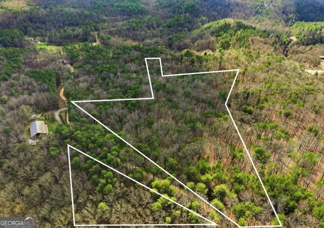 4th image of 64 Bull Gap Rd, Talking Rock, GA 30175 | MLS# 10711452