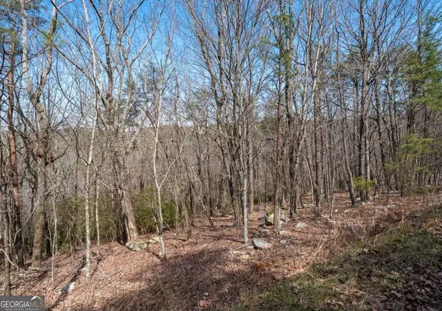 Photo 2 of Land for sale at 0 Mulberry Cir, Jasper, GA 30143 | MLS# 10716960 | Listing updated on 2026-05-23