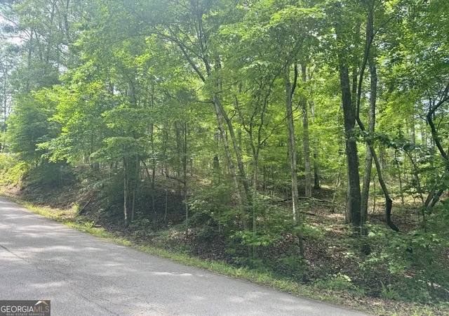 4th image of 6150 Belle Meade Dr, Villa Rica, GA 30180 | MLS# 10776922