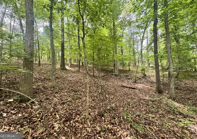 5th image of 6150 Belle Meade Dr, Villa Rica, GA 30180 | MLS# 10776922