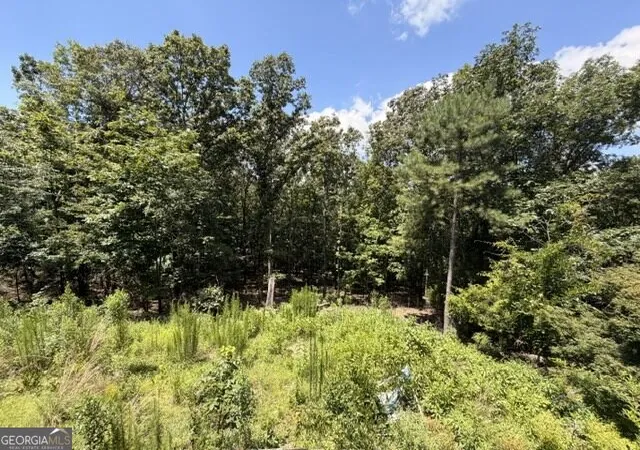 16th image of 1657 Chubb Rd Sw, Cave Spring, GA 30124 | MLS# 10827981