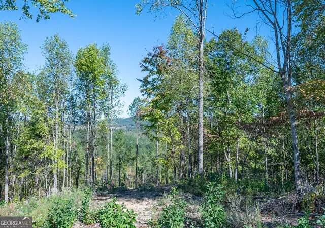 Photo 2 of Land for sale at 3879 Highway 140 Ne, Rydal, GA 30171 | MLS# 10632125 | Listing updated on 2025-11-10