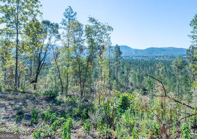 Photo 3 of Land for sale at 3879 Highway 140 Ne, Rydal, GA 30171 | MLS# 10632125 | Listing updated on 2025-11-10