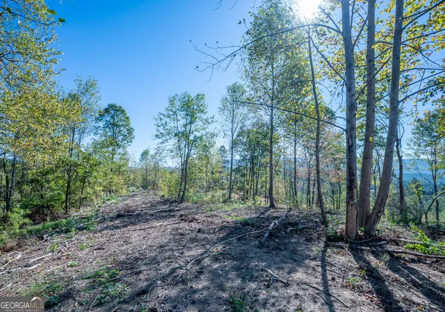 Photo 3 of Land for sale at 3879 Highway 140 NE, Rydal, GA 30171 | MLS# 10632125 | Listing updated on 2025-11-10
