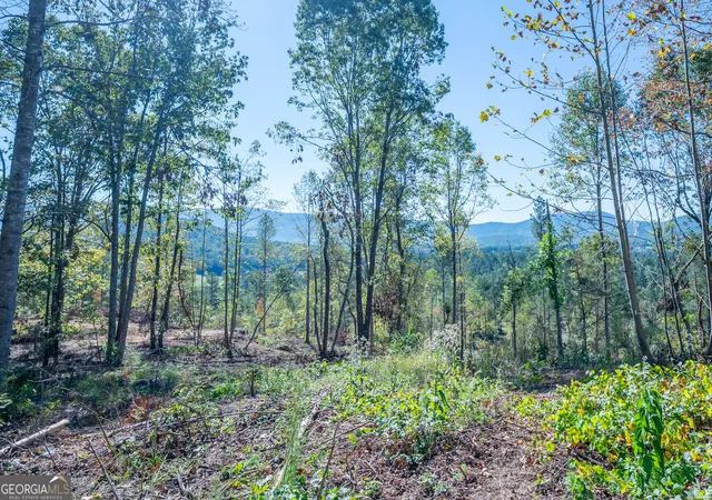 Photo 4 of Land for sale at 3879 Highway 140 NE, Rydal, GA 30171 | MLS# 10632125 | Listing updated on 2025-11-10