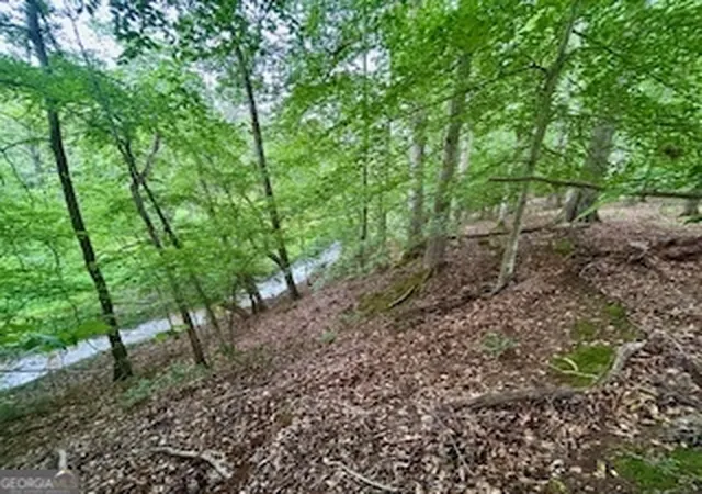 21st image of 0 Bethany Rd, Madison, GA 30650 | MLS# 10781603