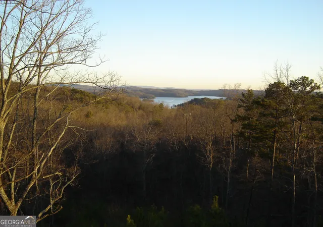 Photo 15 of Land for sale at 439 Buck Creek Rd, Ellijay, GA 30540 | MLS# 10833366 | Listing updated on 2026-08-26
