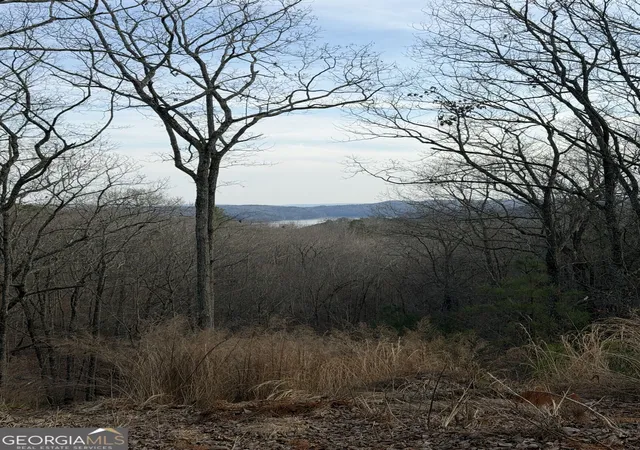 Photo 1 of Land for sale at 439 Buck Creek Rd, Ellijay, GA 30540 | MLS# 10833366 | Listing updated on 2026-08-26