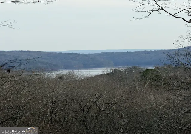 Photo 2 of Land for sale at 439 Buck Creek Rd, Ellijay, GA 30540 | MLS# 10833366 | Listing updated on 2026-08-26
