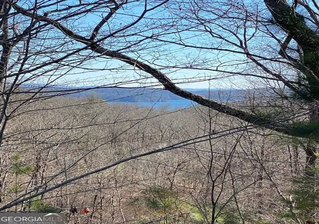 Photo 3 of Land for sale at 439 Buck Creek Rd, Ellijay, GA 30540 | MLS# 10833366 | Listing updated on 2026-08-26