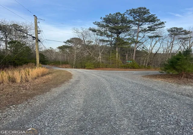 Photo 3 of Land for sale at 439 Buck Creek Rd, Ellijay, GA 30540 | MLS# 10833366 | Listing updated on 2026-08-26
