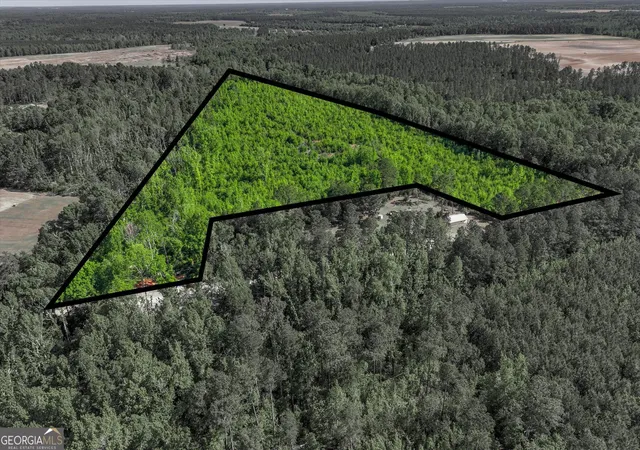 Homes for sale in Wrens, GA | 1453 Atwell Station Rd, Wrens, GA 30833 | MLS# 10736653