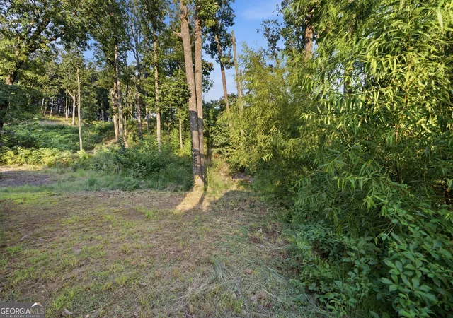 33rd image of 782 High Summit Dr, Talking Rock, GA 30175 | MLS# 10829078