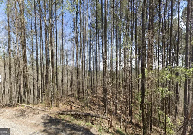 3rd image of 2 E Dry Pond Rd #LOT 2 EAST, Ranger, GA 30734 | MLS# 10707607
