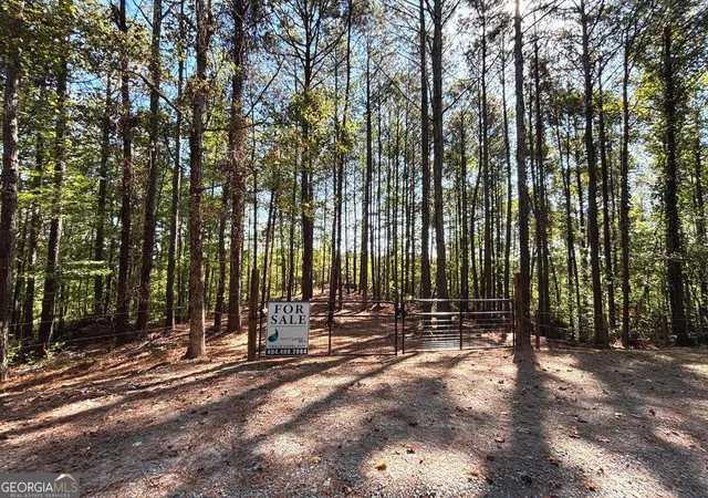 4th image of 2 E Dry Pond Rd #LOT 2 EAST, Ranger, GA 30734 | MLS# 10707607