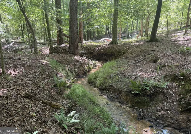 Photo 1 of Land for sale at 0 Ruckersville Rd, Elberton, GA 30635 | MLS# 10812311 | Listing updated on 2026-08-07